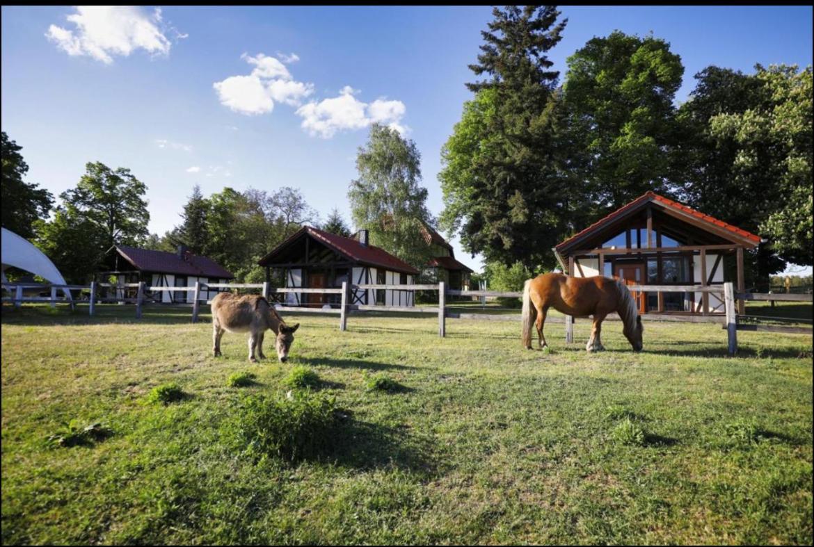 Hof Lillge Schorfheide Exterior foto